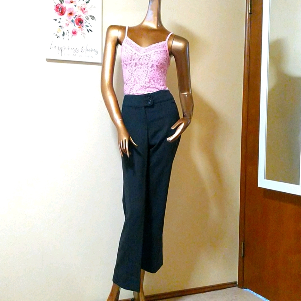 Size 2R The Limited Collection Cassidy Fit Slacks